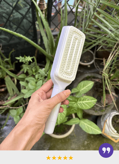 המברשת של-PALORO